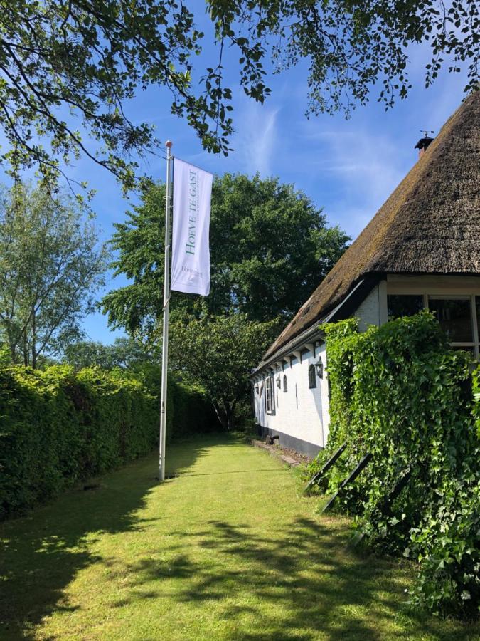 Hoeve Te Gast - Vakantieboerderij Groet Exterior foto